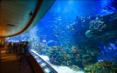 Aquarium In Valencia