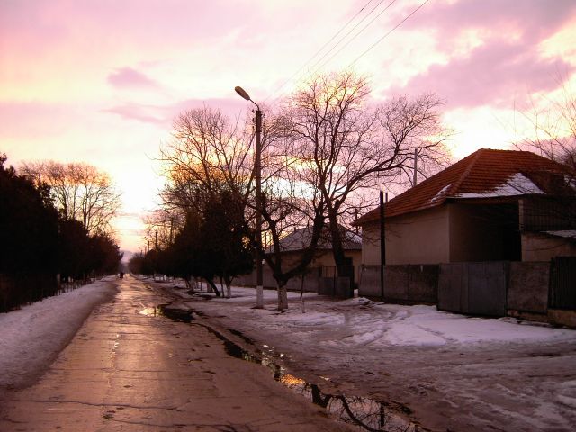 Animals crossing