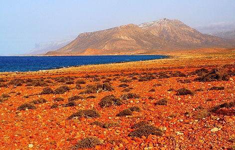 Socotra Islands archipelago - Tropical desert