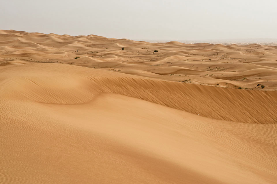 desert arabian