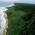 Loango National Park, Gabon