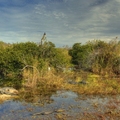 Image Everglades National Park  - The Best Places to Visit in Florida, U.S.A.