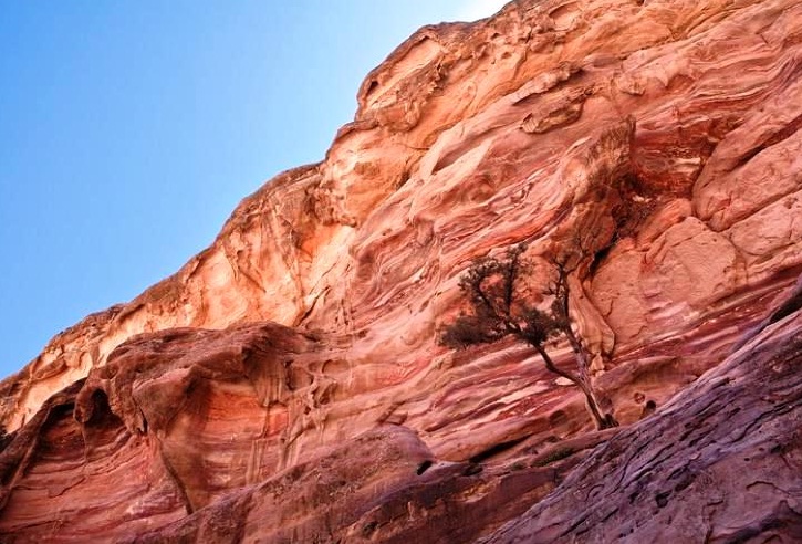 Petra in Jordan - Petra ancient ruins