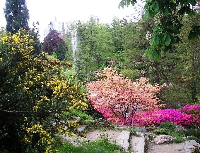 Bethmann Park - Amazing flora