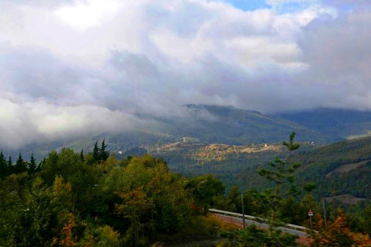 Foreste Casentinesi, Mount Falterona and Campigna National Park - Apennines