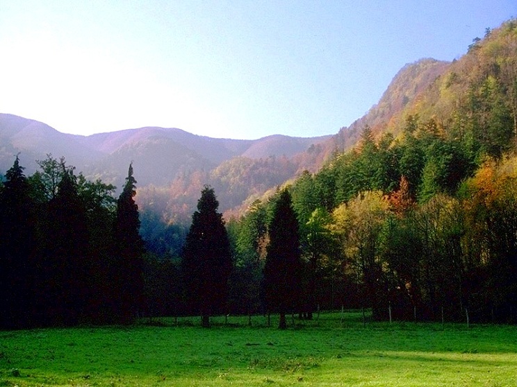 Foreste Casentinesi, Mount Falterona and Campigna National Park - Foreste Casentinesi