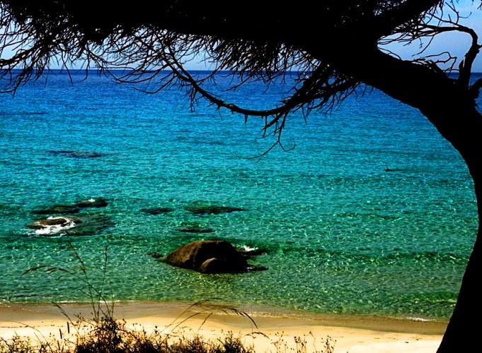 Cagliari in Sardinia, Italy - Fabulous beach in Sardinia