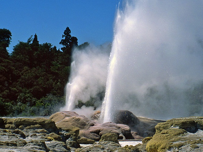  Prince of Wales Feathers Geyser, New Zealand - The two friends