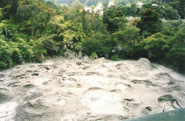 The Pohutu Geyser, Rotorua, New Zealand - Mud pool