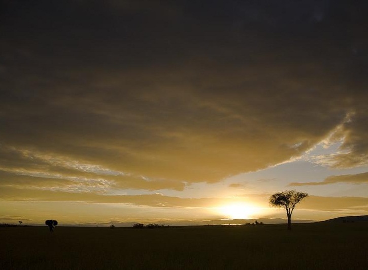 Masai Mara National Reserve, Kenya - Landscape